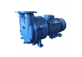 2BV Series Liquid Ring Vacuum Pumps