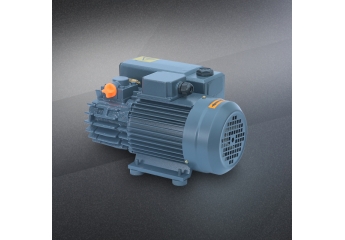 SV010 single stage rotary vane