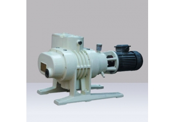 ZJP-150B Series roots vacuum pump