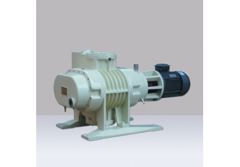 ZJP-300B Series roots vacuum pump