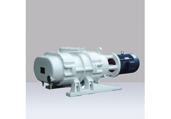 ZJ-600 Roots Vacuum Pump