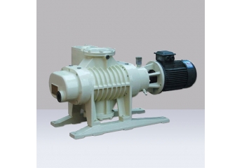 ZJP-600B Series roots vacuum pump